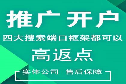 SEM广告投放的创意与执行：成功案例剖析